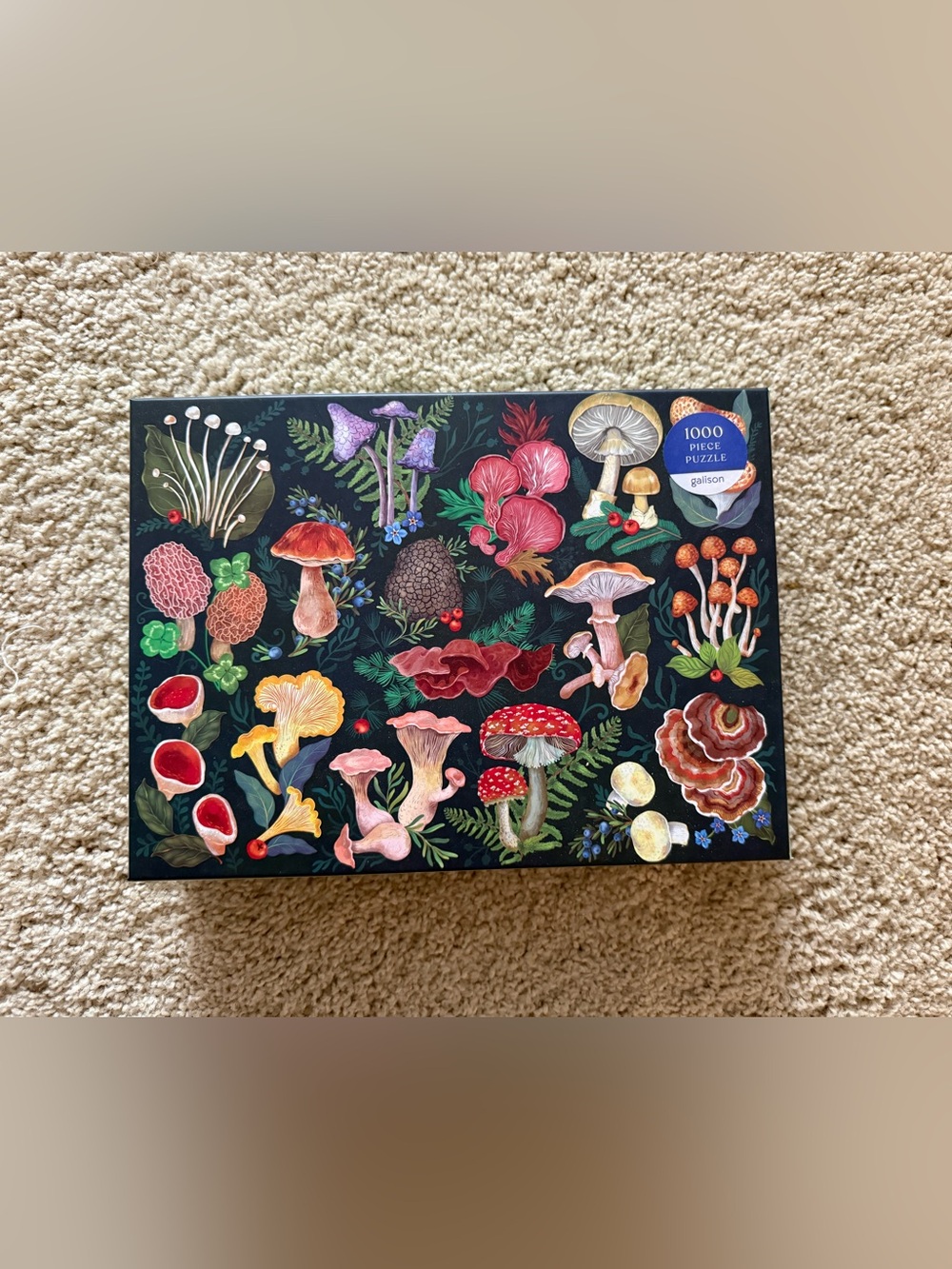 Galison 1000 piece puzzle ‘World of Mushrooms’